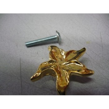 bouton métal doré méduse 40 mm + vis pour meubles tiroirs 3575740004207