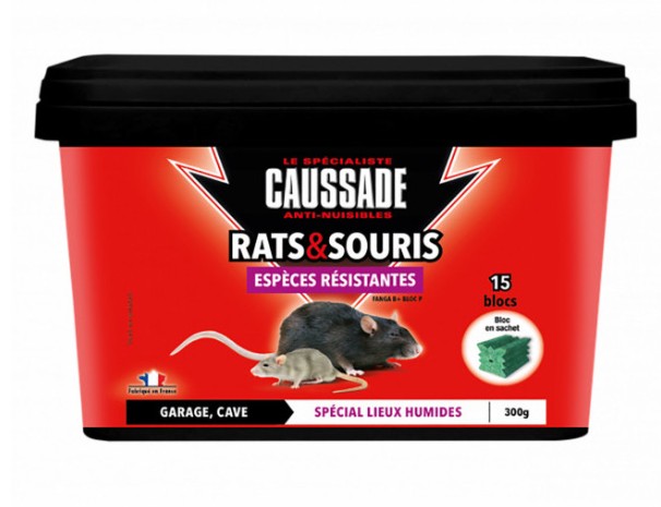 Pièges à Glu ACTO Anti-rongeurs pour Rats & Souris - Support Bois