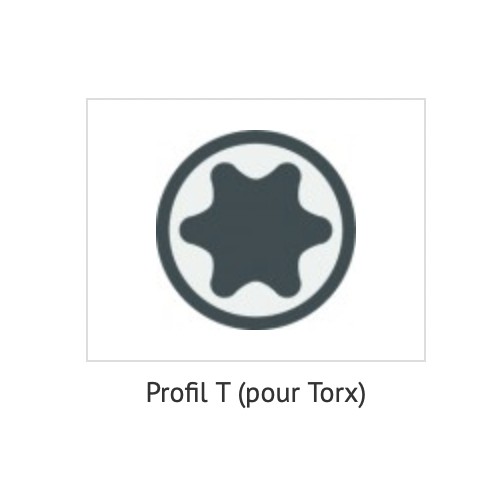 Tournevis torx T20 poignée en T profil avec et sans perçage BGS 4048769007850