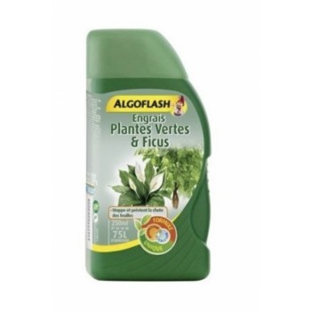 Engrais complet liquide plantes vertes et ficus 250 ml ALGOFLASH 3167770203028
