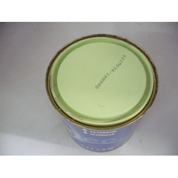 peinture murs et boiseries acrylique satinée 0.5L couleur vert pastel extérieur intérieur 3600073997770