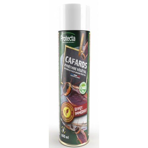 Insecticide aérosol foudroyant spécial cafards blattes 600ML PROTECTA