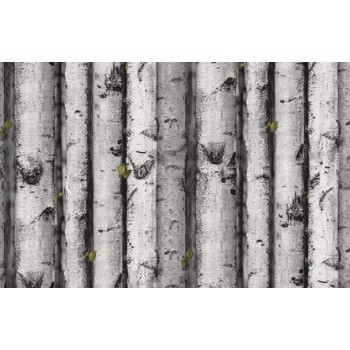 Rouleau film adhésif décor imitation tronc bois bouleau 45 x 150 cm ACCESS DECO 3700832328361