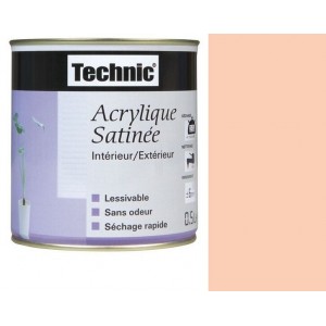Peinture acrylique rose saumonée satinée int/ext Technic 0.5l 8716242232667