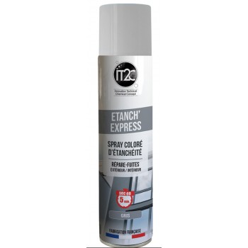 Spray étanchéité bitumineux gris anti fuite tous supports ETANCH' EXPRESS IT2C 3664420004634