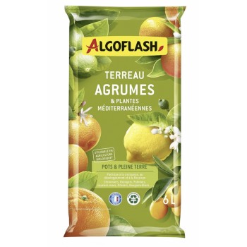 Terreau agrumes plantes méditerranéennes 6L ALGOFLASH citronnier oranger olivier laurier 3167770219111