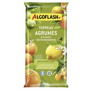 Terreau agrumes plantes méditerranéennes 6L ALGOFLASH citronnier oranger olivier laurier 3167770219111