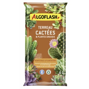 Terreau cactées cactus plantes grasses 6L ALGOFLASH 3167770219142
