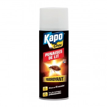 Insecticide foudroyant aérosol anti punaises de lit KAPO 3365000030981